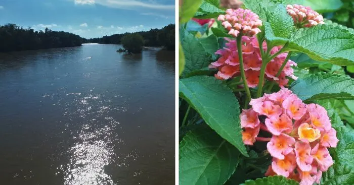 I Took Photos Of Assiniboine Park & English Gardens On A Hot, Muggy Day (25 Pics)