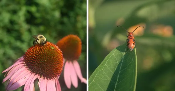 I Made A Mini Collection Of My Photos (13 Pics)