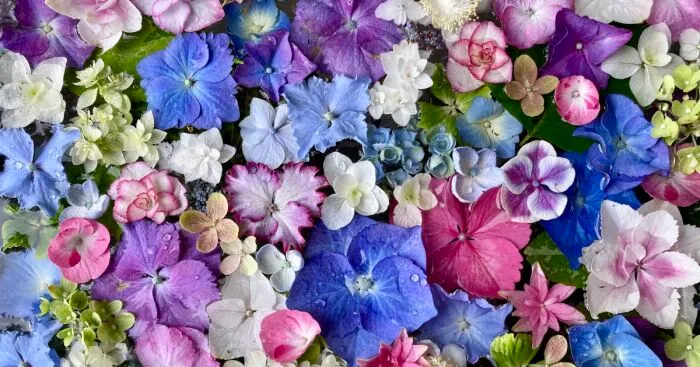 You’ll Find Me In The Garden (24 Pics)