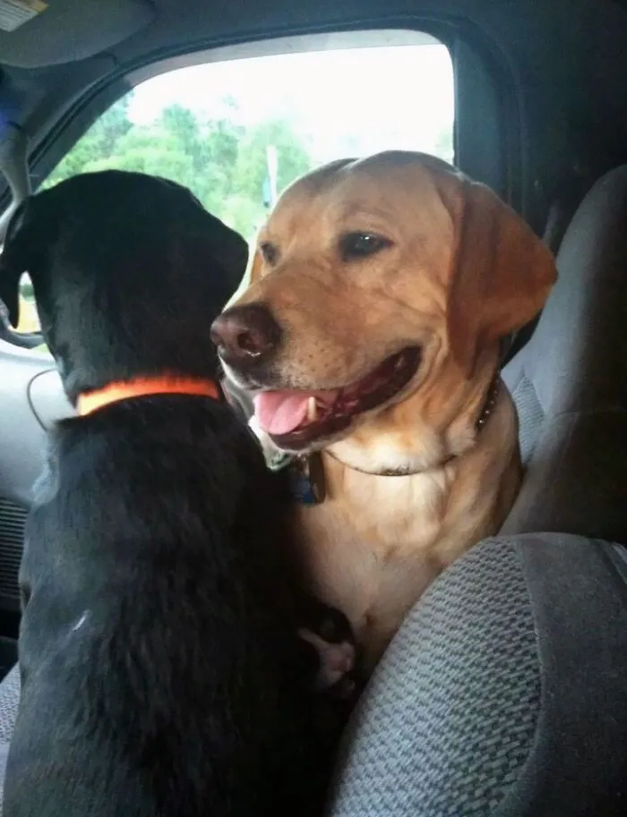 Friend Is Moving Away With Her Best Friends. When You See It