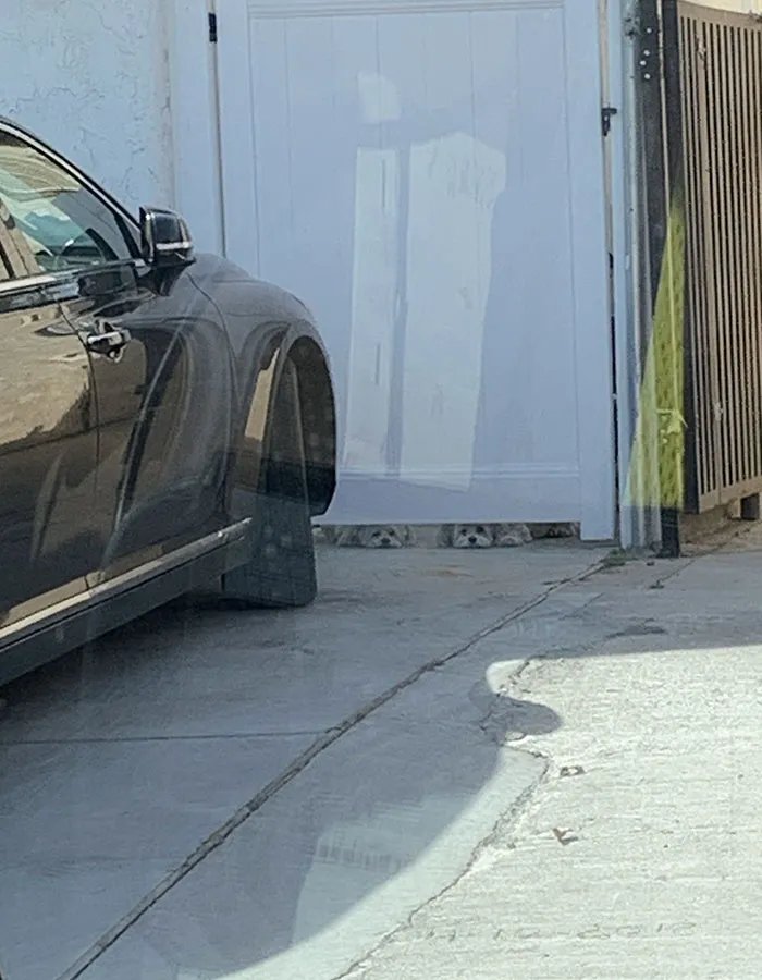 Cuando lo veas