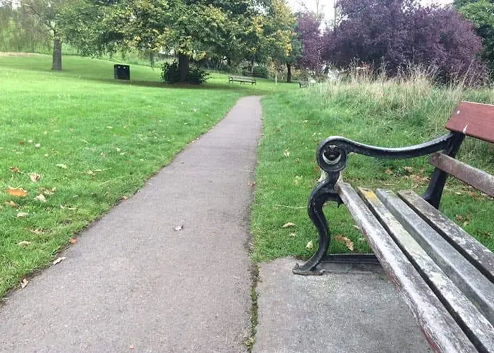 Spot The Pug
