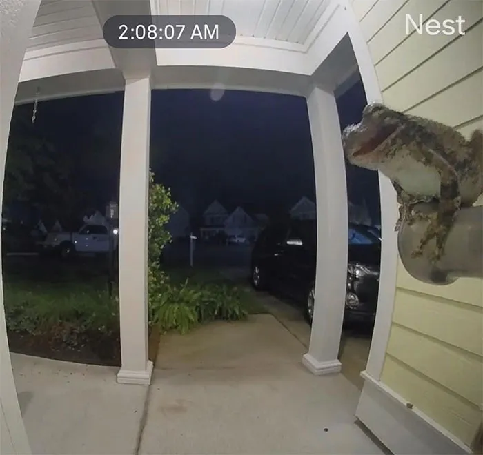 2 A.m.—“Someone Is At Your Door” Notification