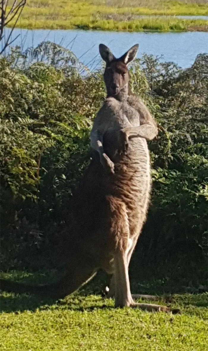 My Photo Skills May Be Crap, But His Posing Skills Are Divine