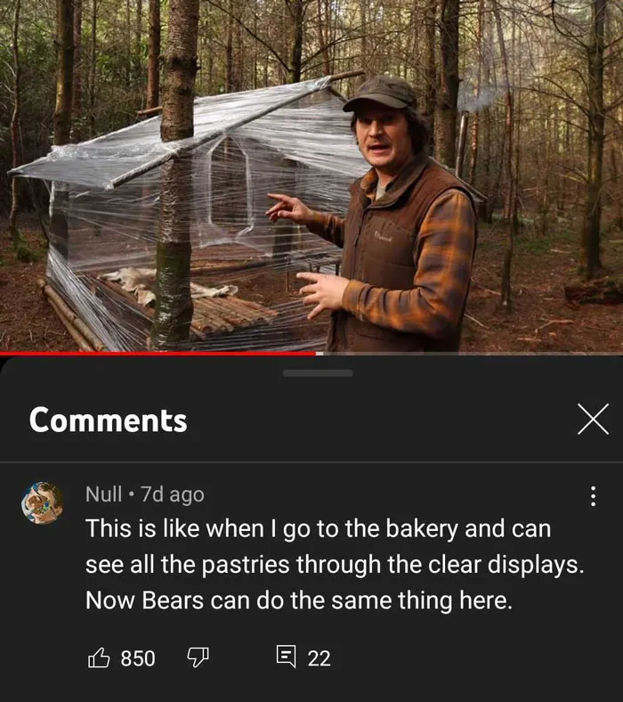 Building A Woodland Cabin With Plastic Wrap
