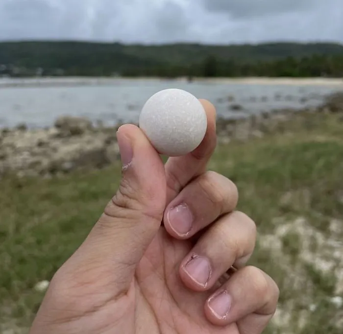 Roca perfectamente redonda que encontré en la playa