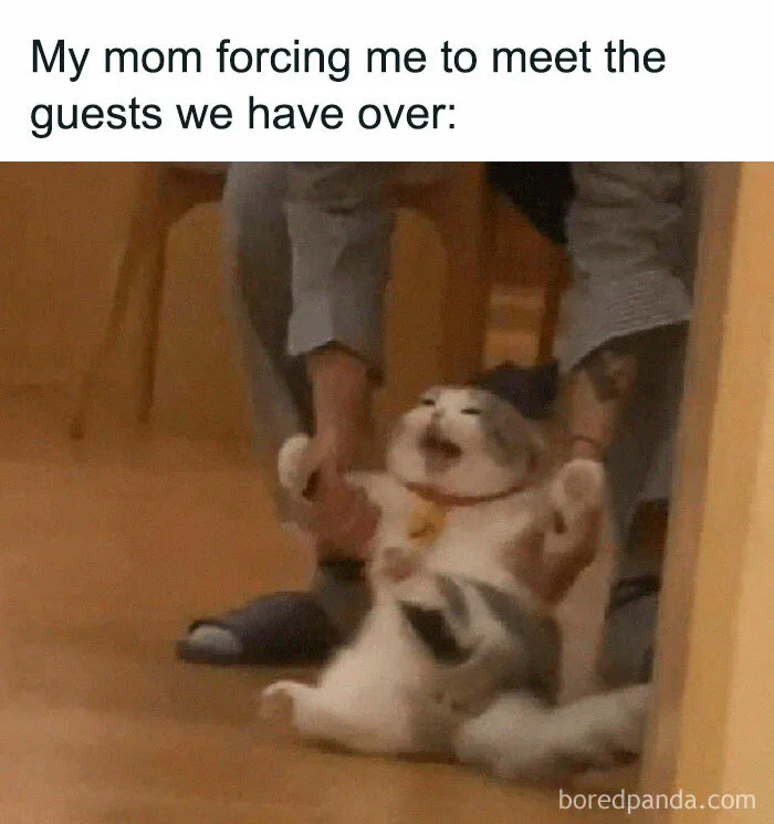 Introverts In This Online Group Are Sharing Painfully Hilarious Memes About Their Struggles, Here Are 50 Of The Funniest Ones