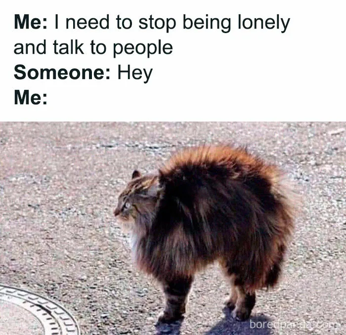 Introverts In This Online Group Are Sharing Painfully Hilarious Memes About Their Struggles, Here Are 50 Of The Funniest Ones