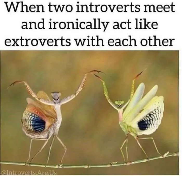 Introverts In This Online Group Are Sharing Painfully Hilarious Memes About Their Struggles, Here Are 50 Of The Funniest Ones