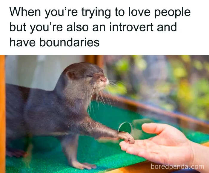 Introverts In This Online Group Are Sharing Painfully Hilarious Memes About Their Struggles, Here Are 50 Of The Funniest Ones