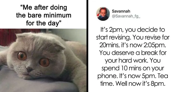 30 Student Memes That Might Make You Laugh And Cry At The Same Time, As Shared By This Dedicated Online Group