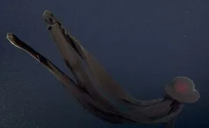 "71% Of The Earth's Surface Is Covered By Water", And These 50 Pics Of Deep Water Are Exactly The Reason Why That's Not Good
