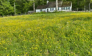 Hey Pandas, Show Us Your Best Day On The Farm (Closed)