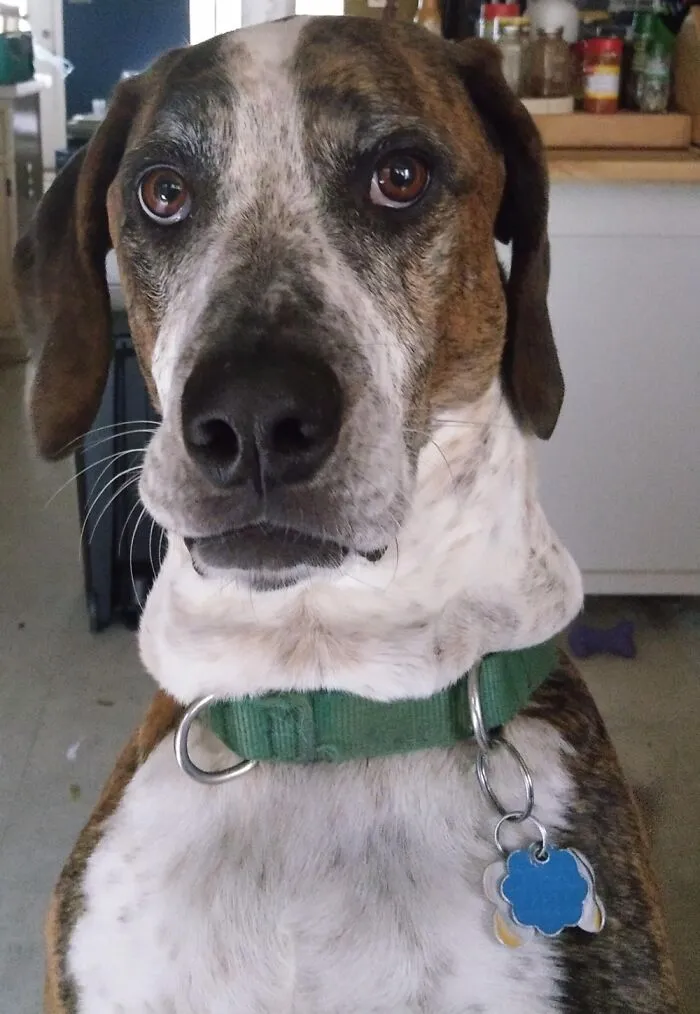 Murphy Alexander- Contracted Lymphoma And Went To Sleep 11 Days After My Dad Died, January 2020