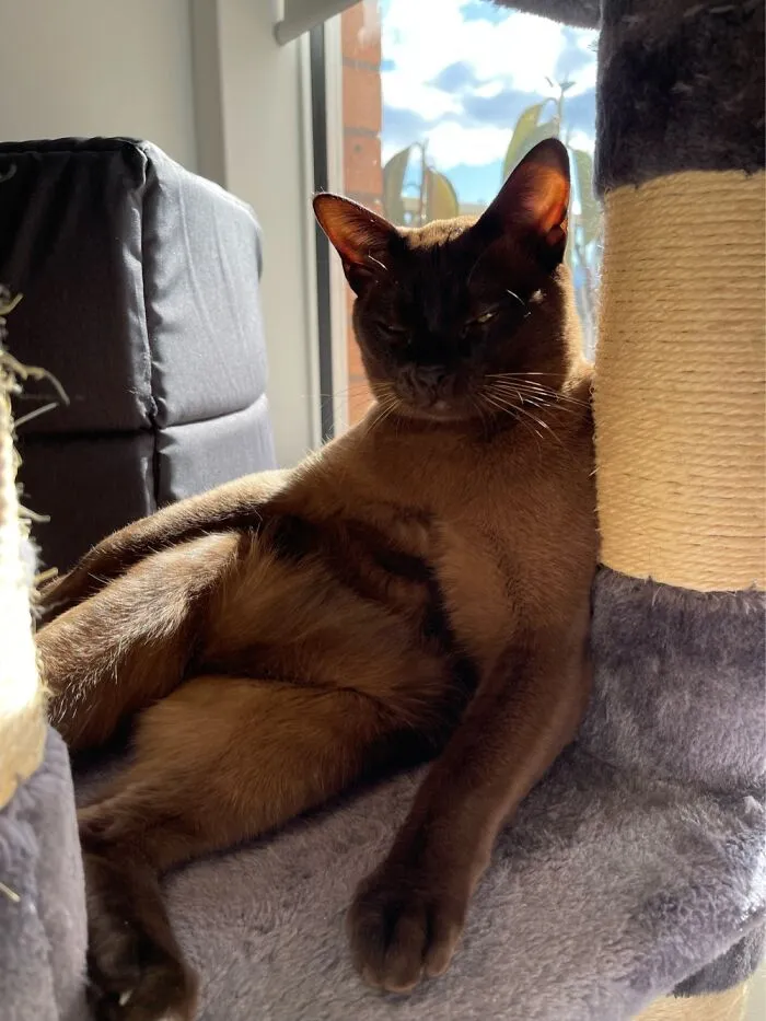 Sunbathe