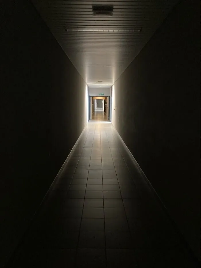 Should Fix Some Lights At My Job