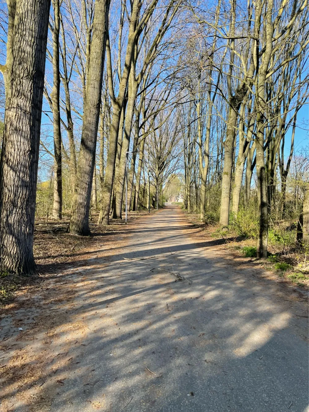 Park Life