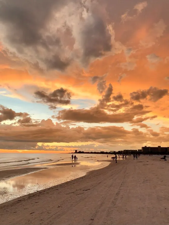 Tampa Bay, Fl