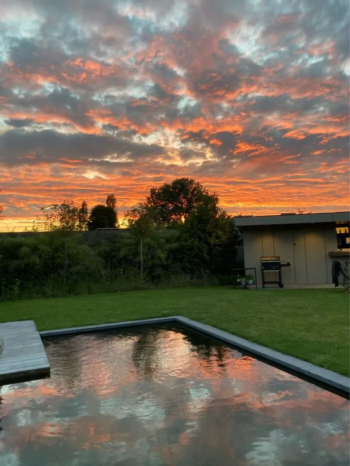 Swimming Pond Glory