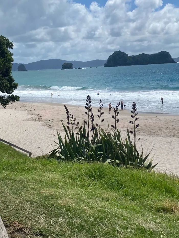 Hahei, New Zealand