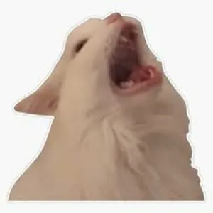 Catrovert