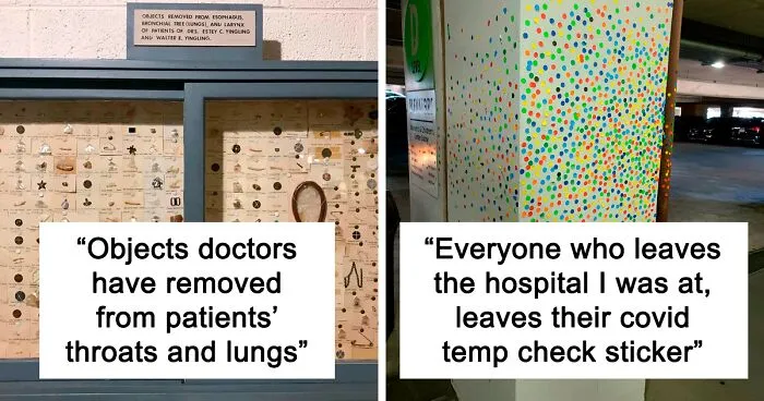 50 Of The Most Interesting And Unusual Collections People Have (New Pics)
