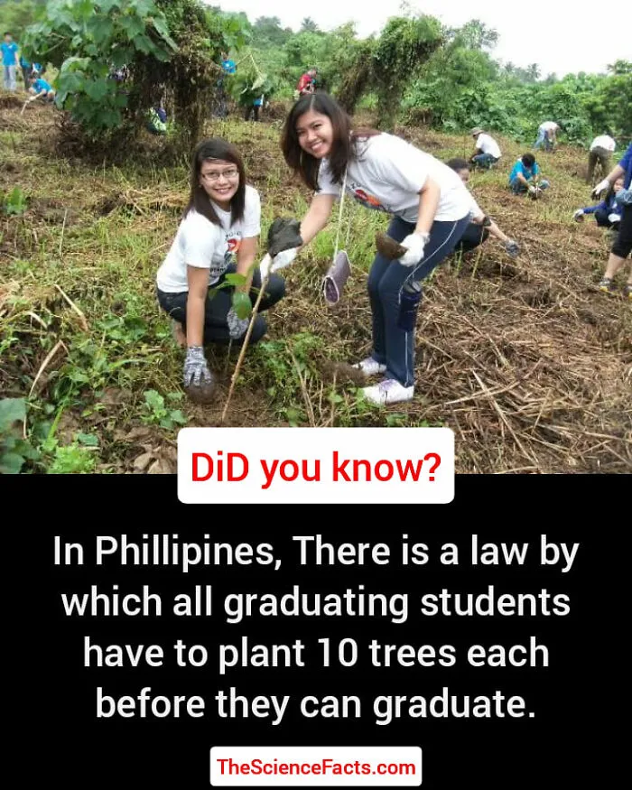 40 Weird But Cool Wildlife Facts That You Can Throw Out In Casual Conversation, As Shared On This Facebook Group