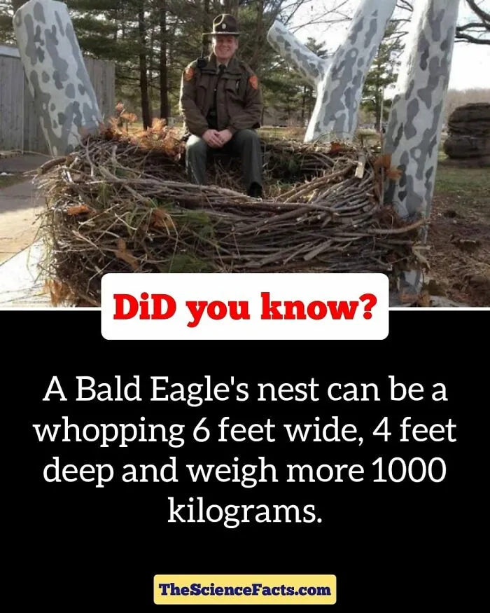40 Weird But Cool Wildlife Facts That You Can Throw Out In Casual Conversation, As Shared On This Facebook Group