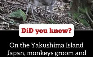 40 Weird But Cool Wildlife Facts That You Can Throw Out In Casual Conversation, As Shared On This Facebook Group
