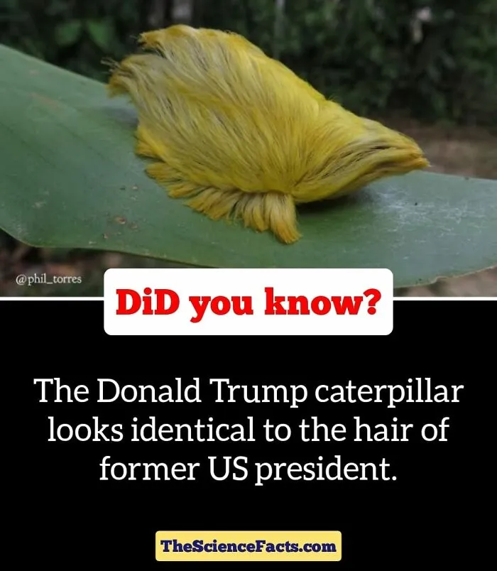 40 Weird But Cool Wildlife Facts That You Can Throw Out In Casual Conversation, As Shared On This Facebook Group