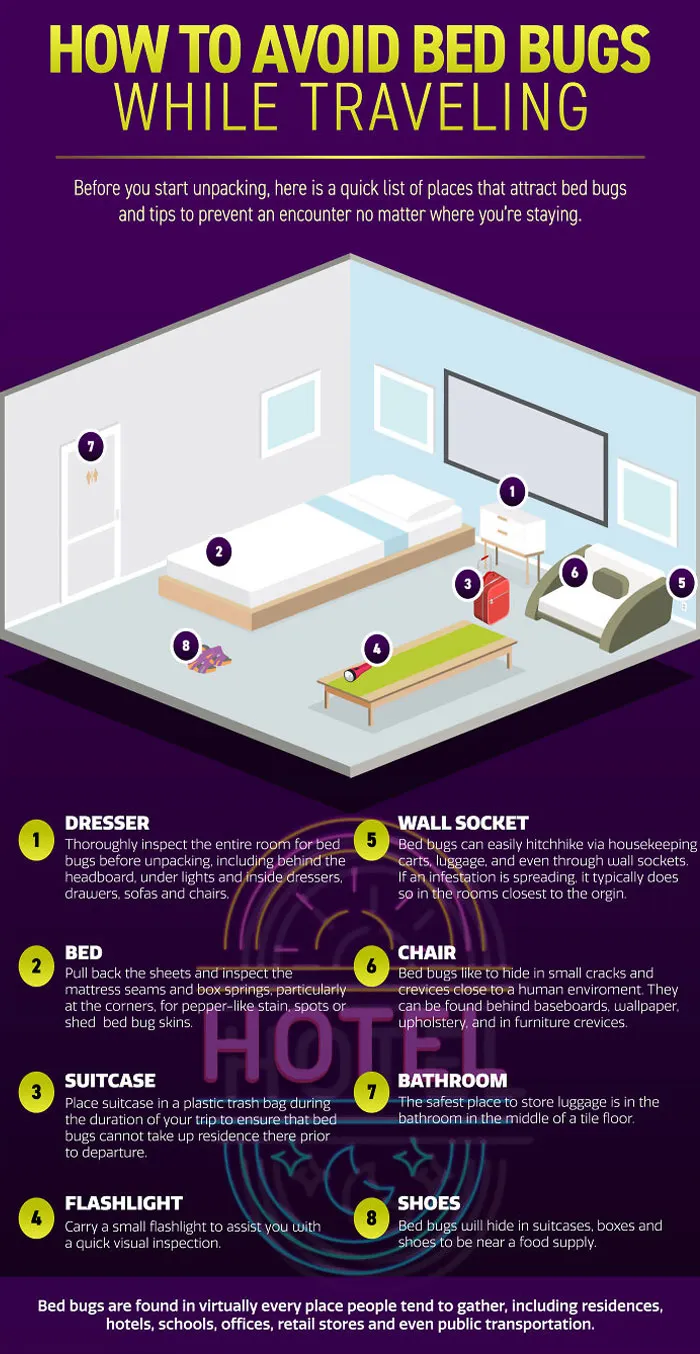 How To Avoid Bed Bugs While Traveling