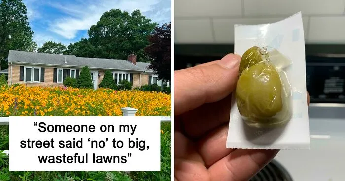 “When Something Is Free, You Are The Product”: 50 Posts From This Anti-Consumption Community That Might Inspire You To Cut Back (New Pics)