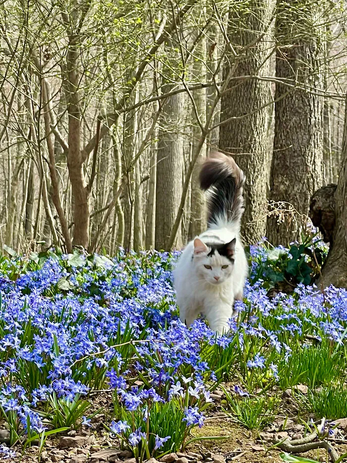 In Bloom