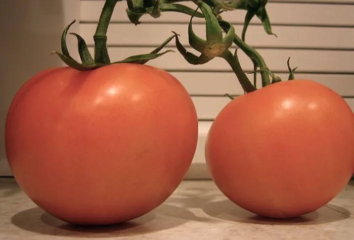 People Share What Modern Food Trends They Just Can't Stand
