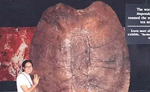 50 Of The Most Interesting Pics That Prove That "Nature Was Metal" Millions Of Years Ago