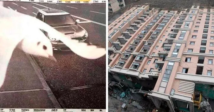 40 People Share Things That Happened That Are So Rare, They Seem Nearly Impossible (New Pics)