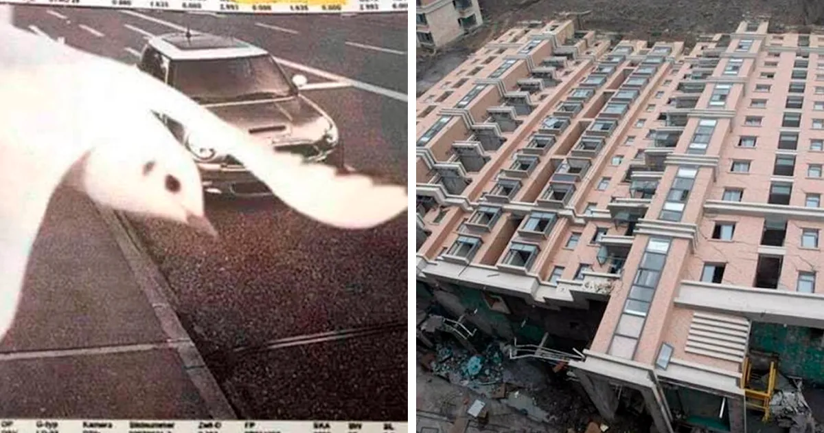 30 Coincidencias tan raras que cuesta creer que hayan sucedido en realidad (nuevas fotos)