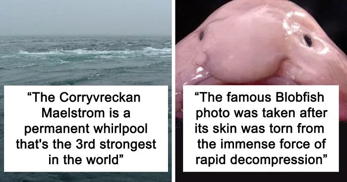 23 Fascinating, Weird Or Even Scary Facts About The Ocean People In This Online Group Decided To Share