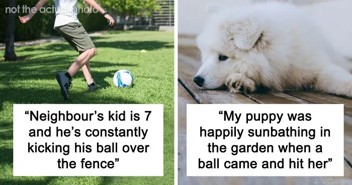 Person Refuses To Put Up With Neighbor's Kid After One Of The Balls He's Constantly Kicking Over The Fence Hits Their Puppy