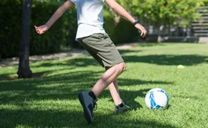 Person Refuses To Put Up With Neighbor's Kid After One Of The Balls He's Constantly Kicking Over The Fence Hits Their Puppy