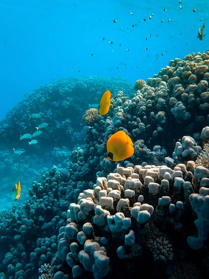There Are More Artifacts In The Oceans Than Museums Combined