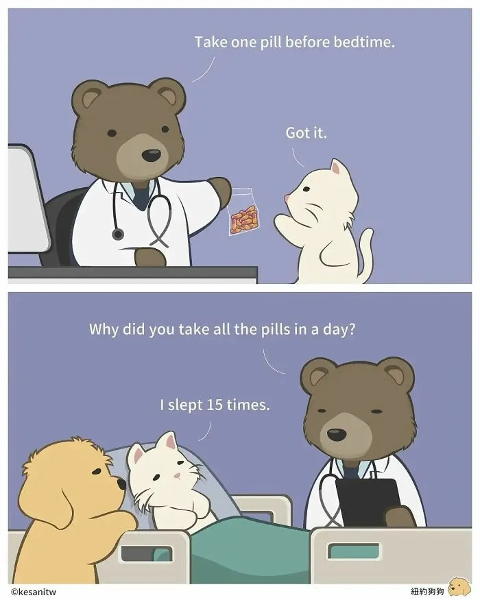 Artist Creates Comics About What It Would Be Like If Animals Were Human (26 New Pics)
