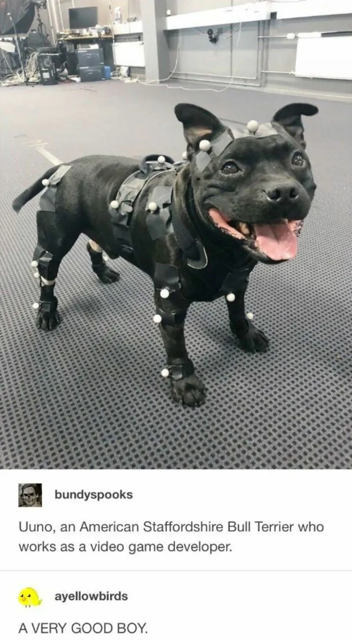 A Very Very Hard-Working Boy