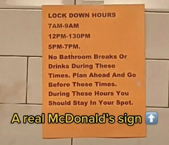 Delusional Job Flyer Blames 'Lazy Workers' For 50% Price Increase, Inspires This TikToker To Share 19 Ridiculous Job Signs