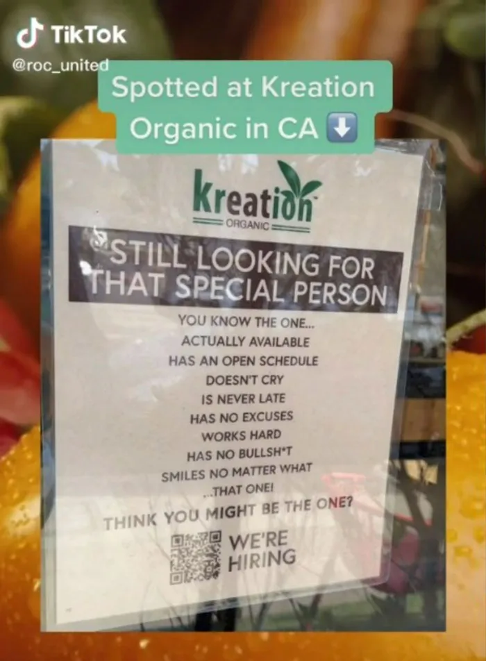 Delusional Job Flyer Blames 'Lazy Workers' For 50% Price Increase, Inspires This TikToker To Share 19 Ridiculous Job Signs