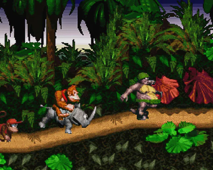 Donkey Kong Country
