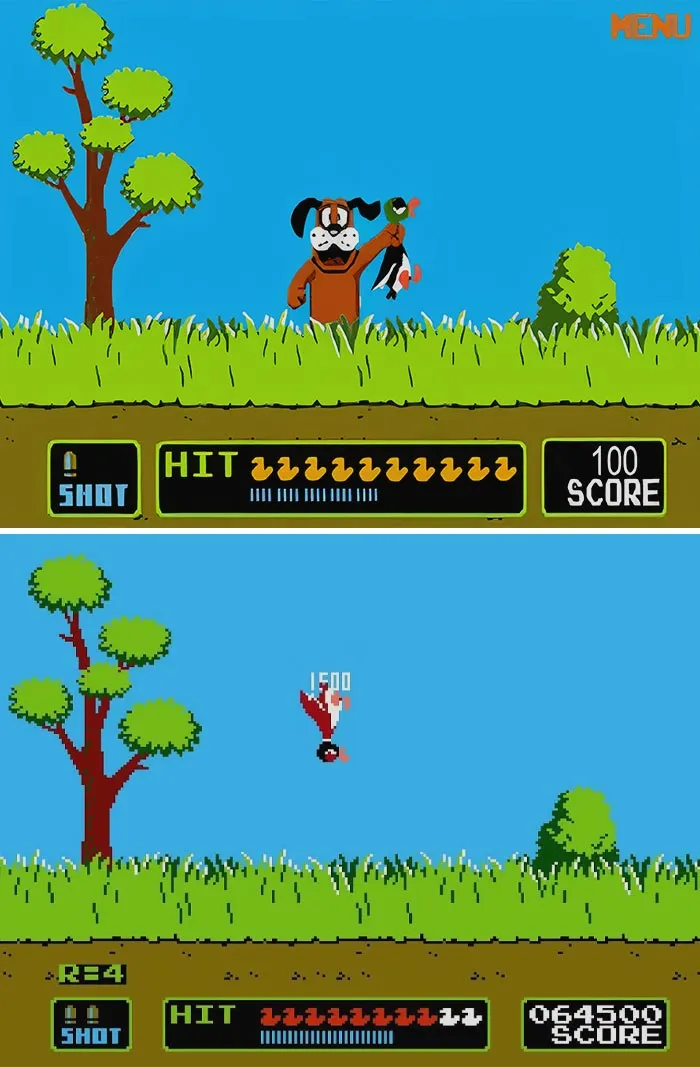 Duck Hunt