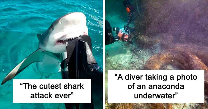 "71% Of The Earth's Surface Is Covered By Water", And These 50 Pics Of Deep Water Are Exactly The Reason Why That's Not Good