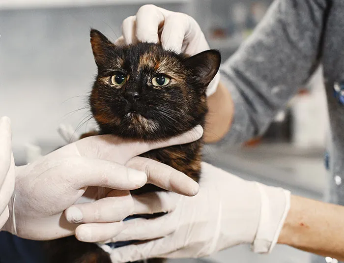 30 Surgeons And Other Doctors Share Their Biggest 'Oh Fudge' Moments