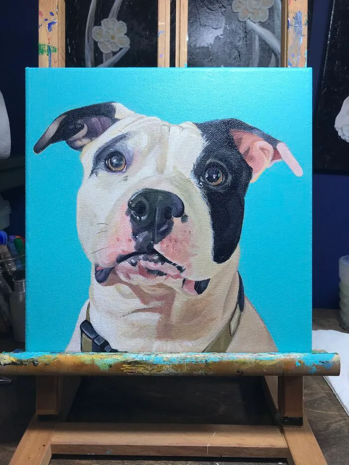 Pet Portrait Of Coco!